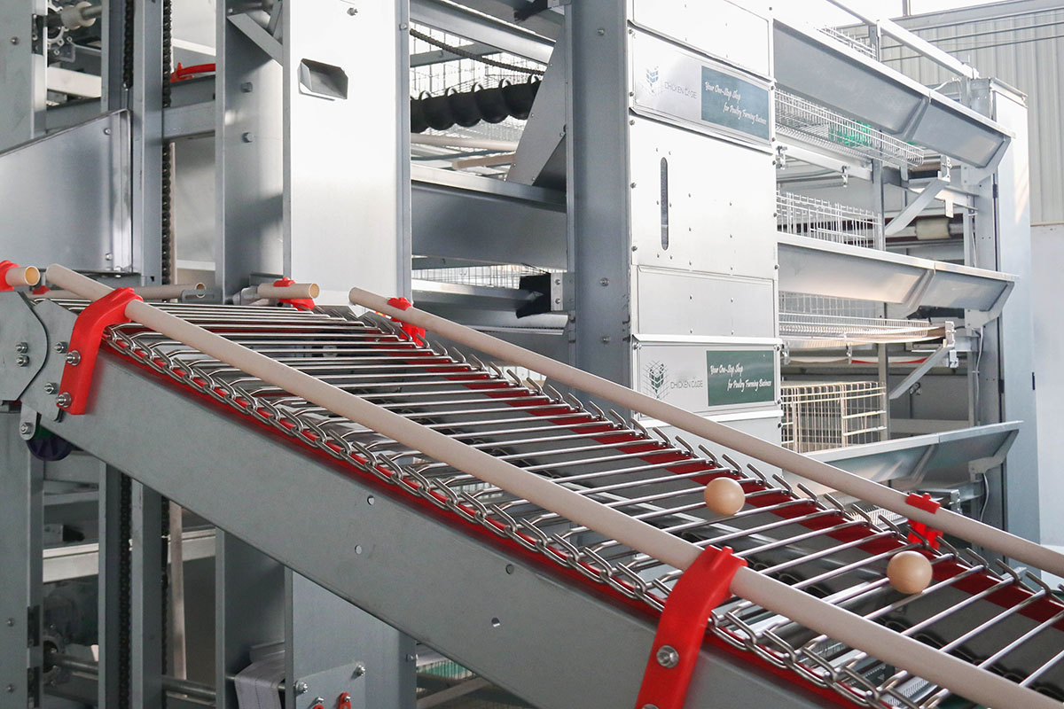 rod conveyor belt