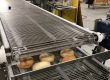 food conveyor belt