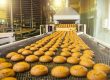Steel Dryer Belt for Conveyor Drying Tunnel