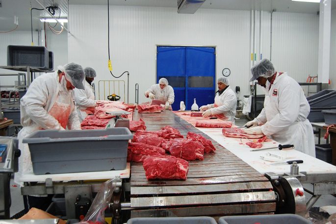 meat conveyor belt-04